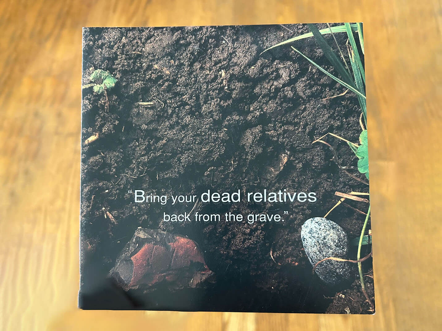 Detroit Translation Bureau