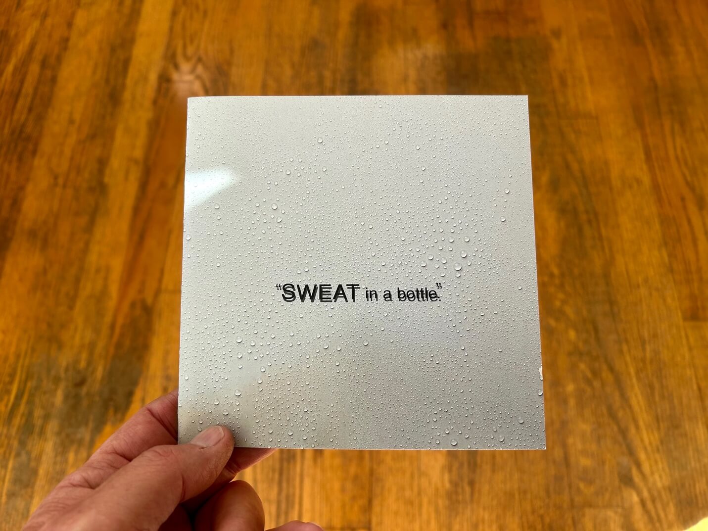 Detroit Translation Bureau